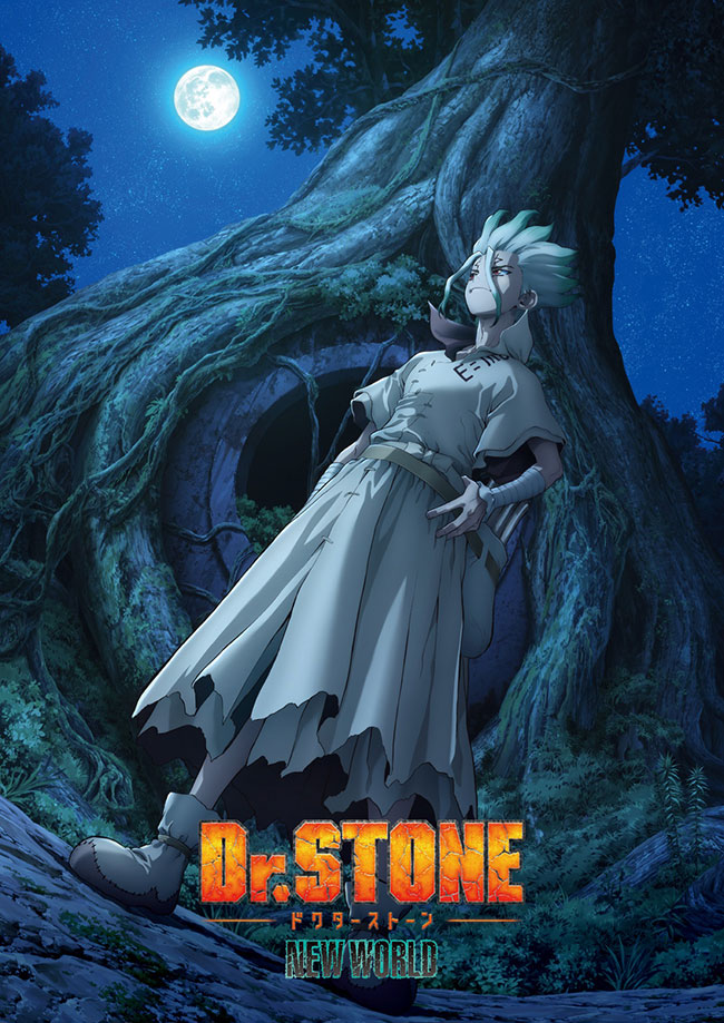 『Ｄｒ．ＳＴＯＮＥ』3rd SEASON Vol.3