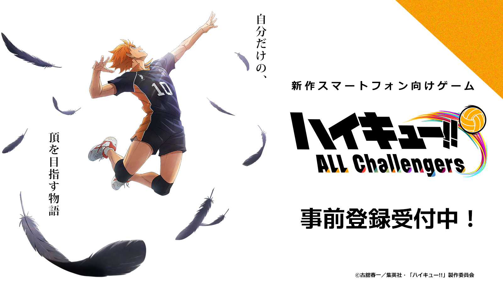 アニメ／ゲーム anime